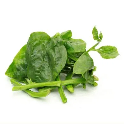 Basale Leaf