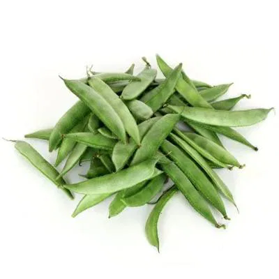 Beans Broad Organically Grown