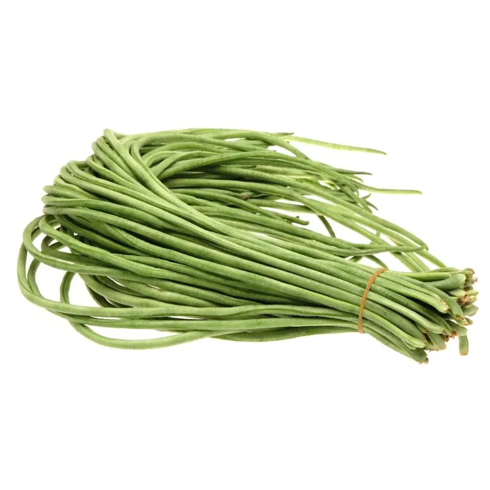 Beans Cowpea