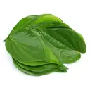 Betel Leaf – image 1