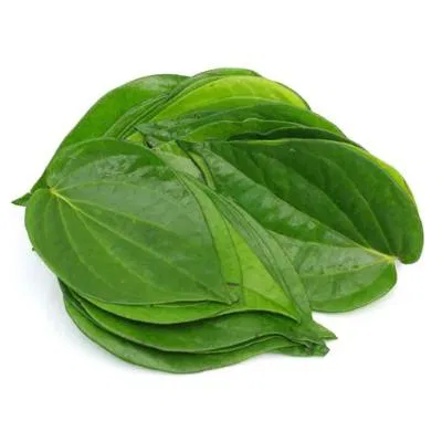 Betel Leaf
