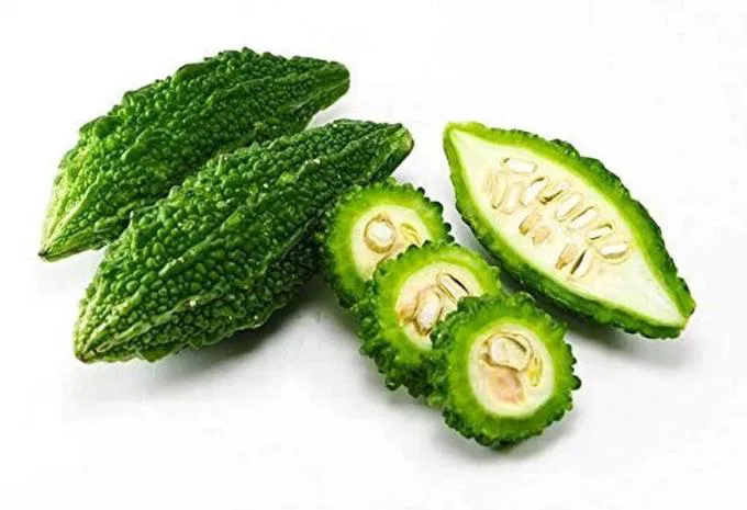 Bitter Gourd