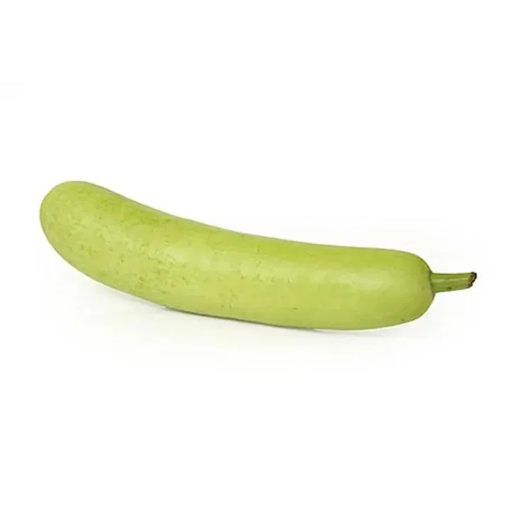 Bottle Gourd Organically Grown