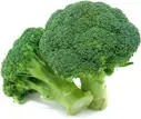 Broccoli – image 1