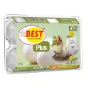 Best Plus Egg – image 1