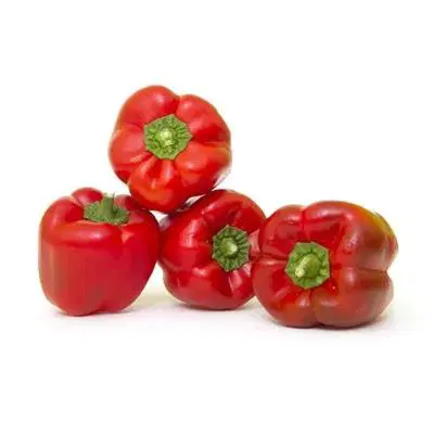 Capsicum Red Organically Grown