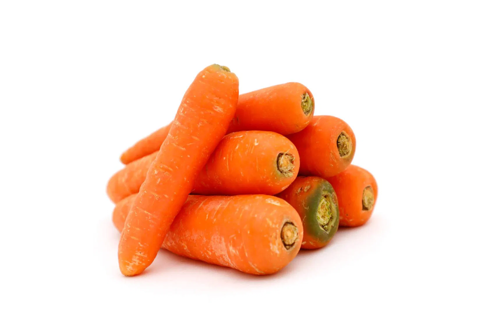 Carrot ooty