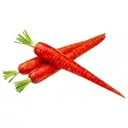 Carrot Red – image 1