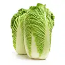 Chinese Cabbage – image 1