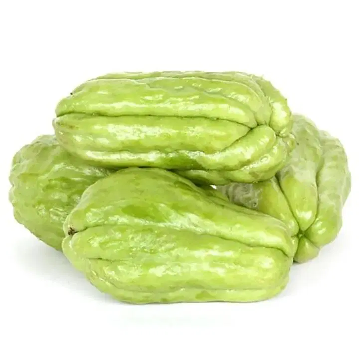 Chow Chow Organically Grown