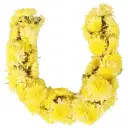 Chrysanthemums Puja Mala – image 1