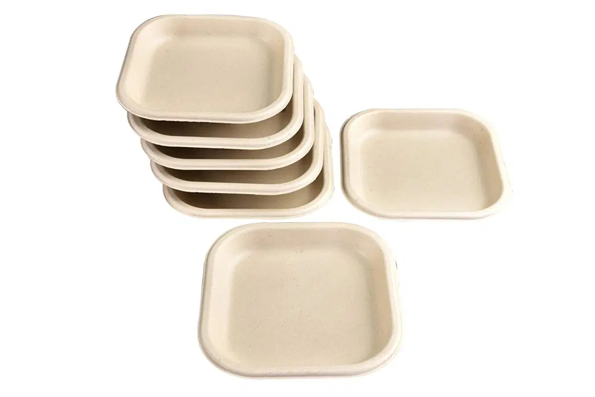 Chuk Disposable Snack Plate 7 Inch