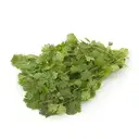 Coriander Leaves Organically Grown – image 1