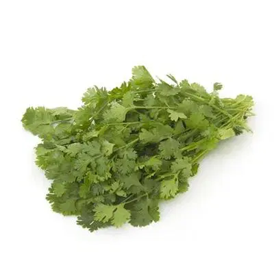 Coriander Leaves Organically Grown
