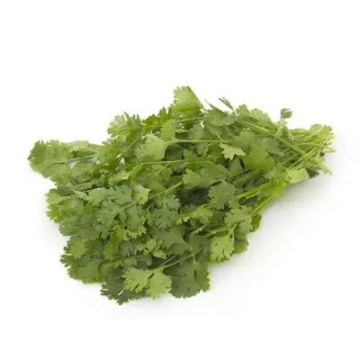 Coriander Leaves Organically Grown
