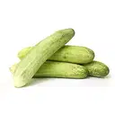 Cucumber Organically Grown – image 1