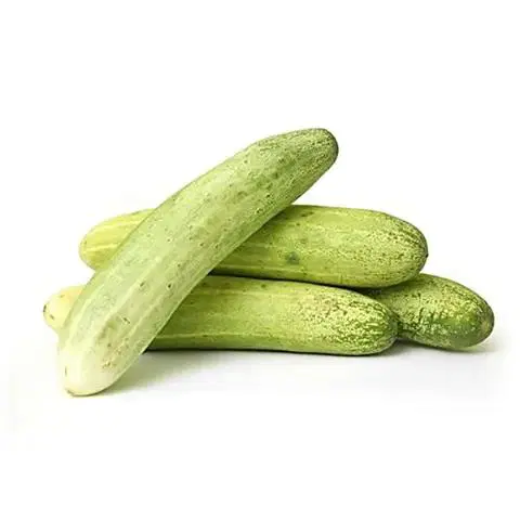 Cucumber Organically Grown