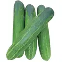 Cucumber – image 1