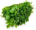 Curry Leaves – image 1