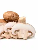 Cut Mushroom – image 1