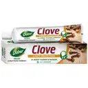 Dabur Herbal Clove Tooth Paste – image 1