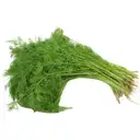 Dill Leaves – image 1
