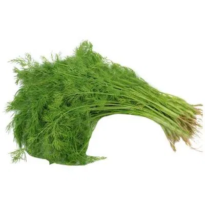 Dill Leaves