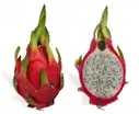 Dragon Fruit – image 1