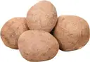 Dry Copra – image 1
