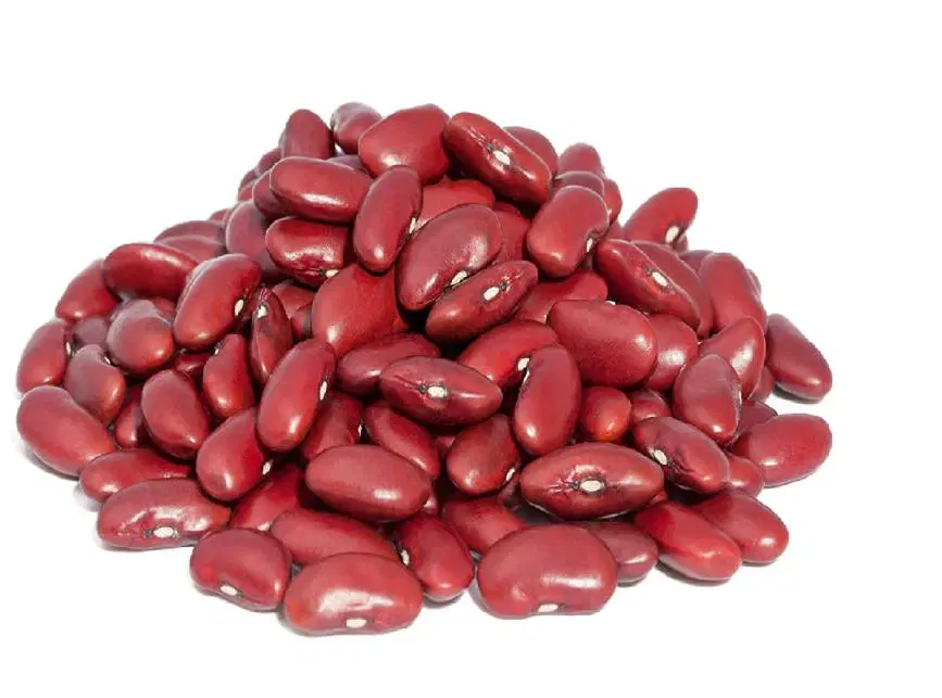 Deewakar Rajma Lal