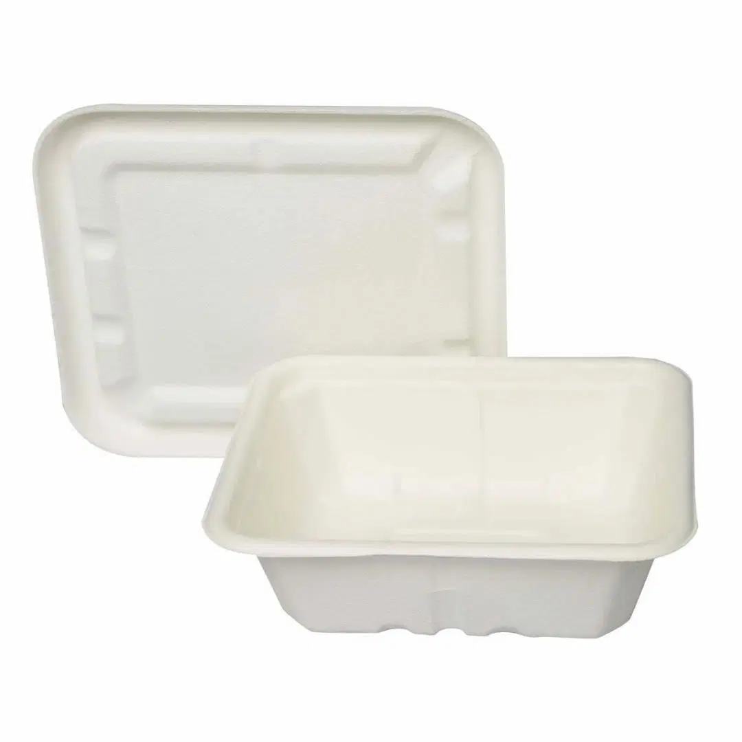 Ecoaware Disposable Food Box With Lid 750 Ml