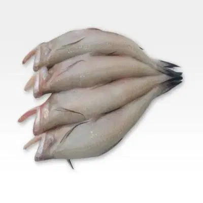 Fresho Bombay Duck Fish Cleaned And Preservative