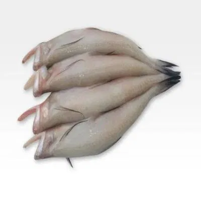 Fresho Bombay Duck Fish Cleaned And Preservative