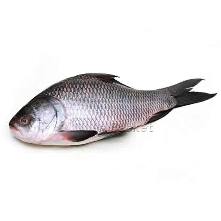 Fresho Catla Fish Large