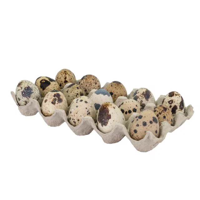 Fresho Farm Quail Eggs Small