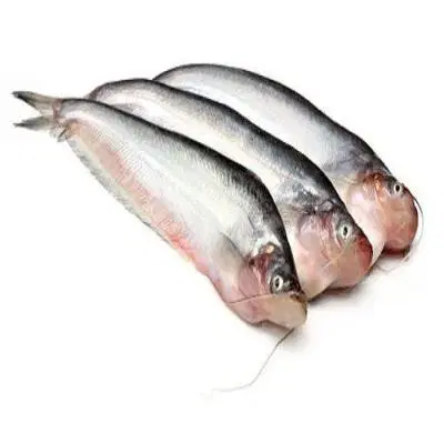 Fresho Pabda Whole