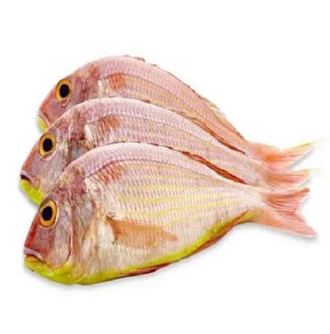 Fresho Pink Perch Fish Whole Cleaned