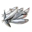 Fresho Sardine Fish – image 1
