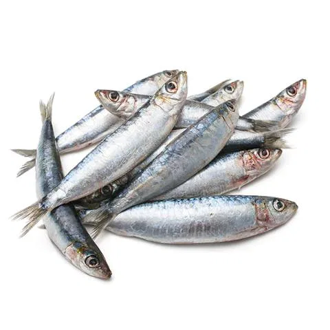 Fresho Sardine Fish