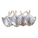 Fresho White Pomfret Small – image 1