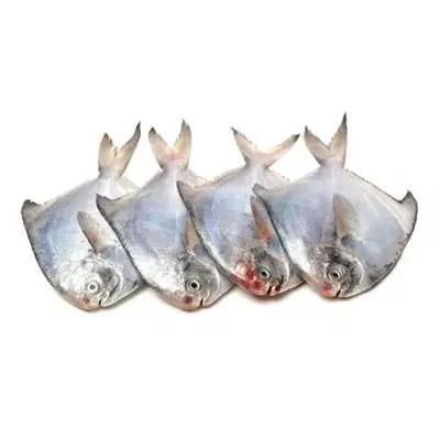 Fresho White Pomfret Small