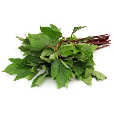 Gongura Leaves Cleaned Without Roots