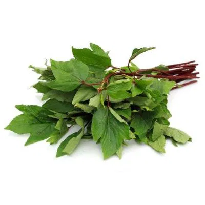 Gongura Leaves Cleaned Without Roots