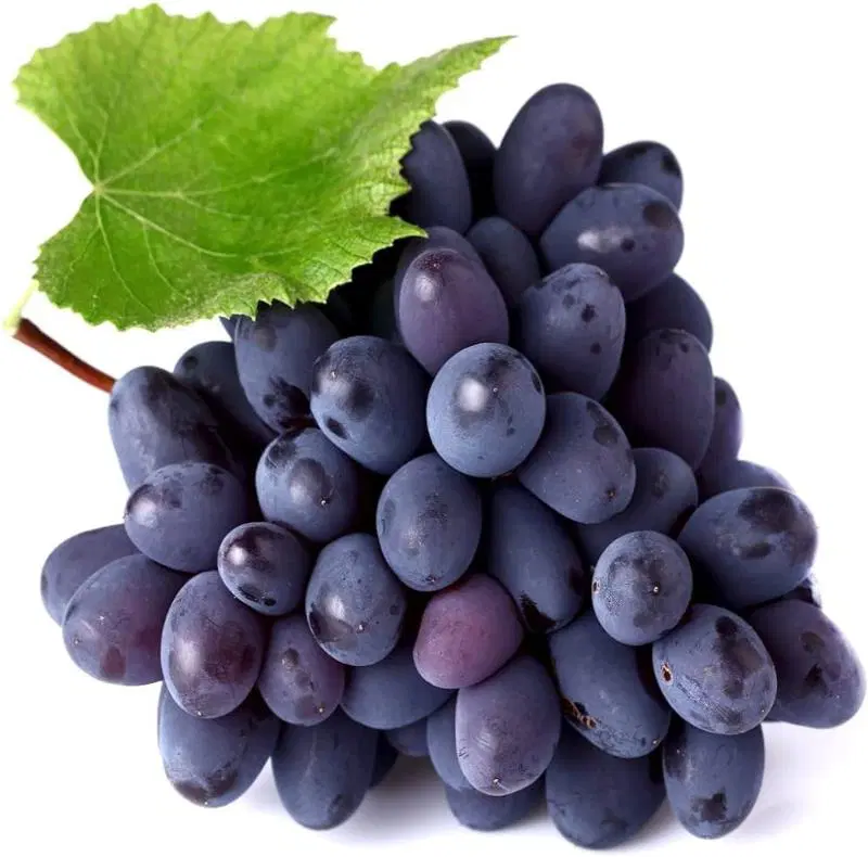 Grapes Banglore Blue With Seed