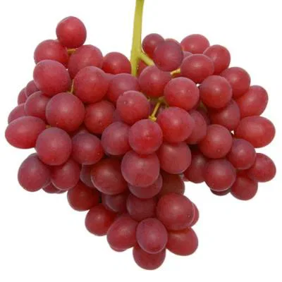 Grapes Red Globe Indian