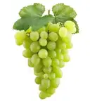 Green Grapes Organically Grown – image 1