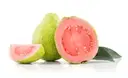 Guava – image 1