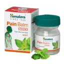 Himalaya Wellness Pain Balm – image 1