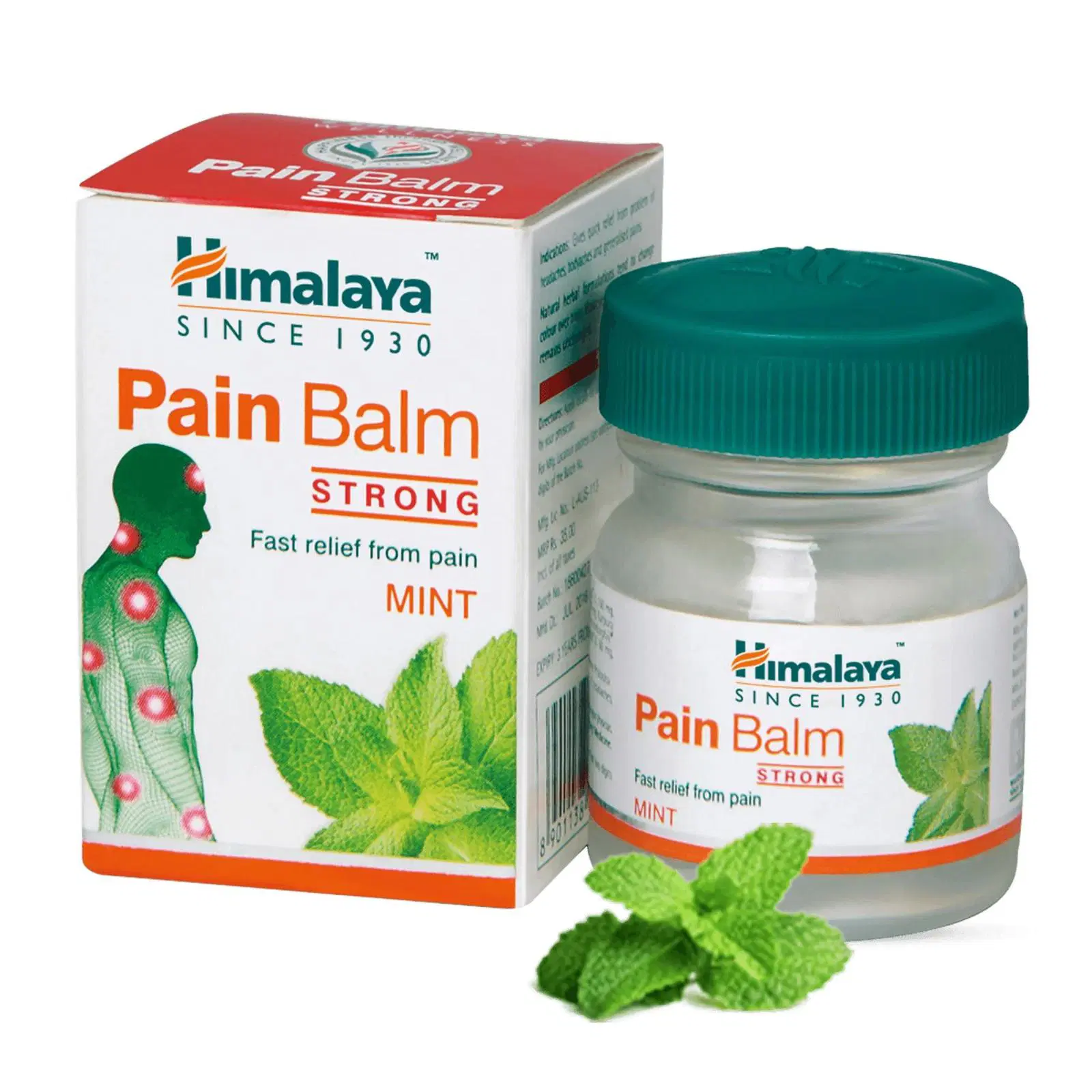 Himalaya Wellness Pain Balm