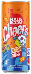 Haus Boom Cheers Orange – image 1